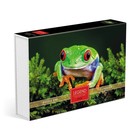 Пазлы «Царевна Лягушка» в подарочной коробке, 500 элементов + постер - фото 320084297
