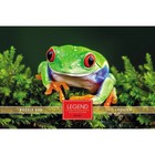 Пазлы «Царевна Лягушка» в подарочной коробке, 500 элементов + постер - фото 22824346