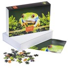 Пазлы «Царевна Лягушка» в подарочной коробке, 500 элементов + постер - Фото 3