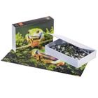 Пазлы «Царевна Лягушка» в подарочной коробке, 500 элементов + постер - фото 22824348