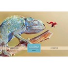 Пазлы «Хамелеон» в подарочной коробке, 500 элементов + постер - фото 22824354