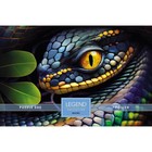 Пазлы «Анаконда» в подарочной коробке, 500 элементов + постер - фото 22824362