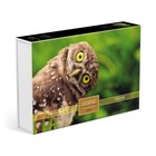 Пазлы «Мудрая сова» в подарочной коробке, 500 элементов + постер - фото 11017846