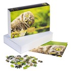 Пазлы «Мудрая сова» в подарочной коробке, 500 элементов + постер - фото 22824370