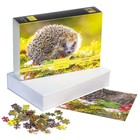 Пазлы «Ежик на полянке» в подарочной коробке, 500 элементов + постер - фото 22824378