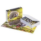 Пазлы «Ежик на полянке» в подарочной коробке, 500 элементов + постер - фото 22824383