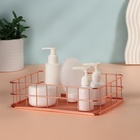 Органайзер для хранения косметических принадлежностей «РАФАЭЛЬ», 24.5×16.5×6.5 см, цвет бронзовый - Фото 2