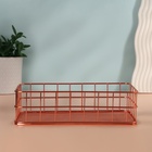 Органайзер для хранения косметических принадлежностей «РАФАЭЛЬ», 24.5×16.5×6.5 см, цвет бронзовый - Фото 4