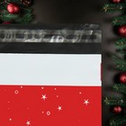Курьерский пакет с клеевым клапаном, "С Новым годом", 25 х 35 см, набор 50 шт - фото 7401750