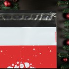 Курьерский пакет с клеевым клапаном, "С Новым годом", 17 х 26 см, набор 50 шт - фото 7401762