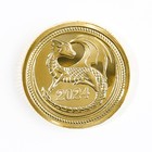 Монета дракон "Счастья и достатка", диам. 2,2 см - Фото 3
