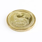 Монета дракон "Счастья и достатка", диам. 2,2 см - фото 9609414