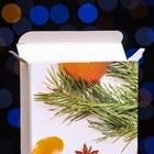 Подарочная коробка под плитку шоколада без окна "Мандарины", 17,1 х 8 х 1,4 см - Фото 3