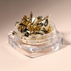 Поталь для декора ногтей, цвет шампань - Фото 2