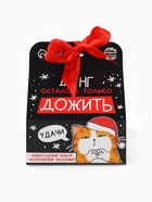 Подарочный набор новогодний «Котэ», печенье с предсказанием, шоколад, послание с пожеланием - Фото 2