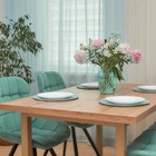 Стул обеденный Polini Home Verona SM, цвет мятный-чёрный - Фото 11