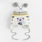 Комплект детский зимний "Холодок": шапка, шарф, объем головы 42-44см (3-6мес.), цвет микс - Фото 3