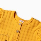 Лонгслив детский, цвет горчичный, рост 74 см - фото 23516149