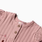 Лонгслив детский, цвет грязно-розовый, рост 68 см (комплект 2 шт) - фото 23516241