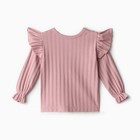 Лонгслив детский, цвет грязно-розовый, рост 68 см (комплект 2 шт) - фото 23516244