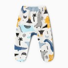 Ползунки детские, цвет белый/дино, рост 62 см - фото 23492185