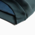 Комплект для мальчика (толстовка,брюки), цвет изумруд, рост 104 см - фото 22977554