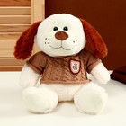 Мягкая игрушка «Собака» в свитере, 26 см, цвет МИКС - фото 320261116