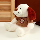 Мягкая игрушка «Собака», в свитере, 26 см, цвет МИКС - фото 22977924