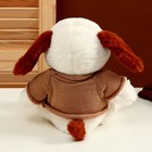 Мягкая игрушка «Собака», в свитере, 26 см, цвет МИКС - фото 22977925