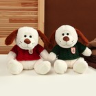 Мягкая игрушка «Собака», в свитере, 26 см, цвет МИКС - фото 22977927