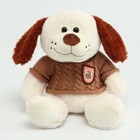 Мягкая игрушка «Собака», в свитере, 26 см, цвет МИКС - фото 22977928