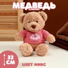 Мягкая игрушка "Медведь" в свитере, 32 см, цвет МИКС - фото 3284135