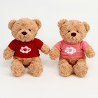 Мягкая игрушка «Медведь» в свитере, 32 см, цвет МИКС - Фото 8