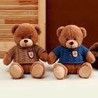 Мягкая игрушка «Медведь» в свитере, 25 см, цвет МИКС - Фото 5