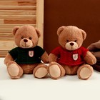 Мягкая игрушка «Медведь» в свитере, 25 см, цвет МИКС - Фото 6