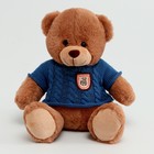 Мягкая игрушка «Медведь» в свитере, 25 см, цвет МИКС - Фото 7