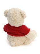 Мягкая игрушка «Медвежонок» в свитере, 25 см, цвет МИКС - Фото 12