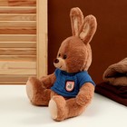Мягкая игрушка «Зайка», в свитере, 25 см, цвет МИКС - Фото 2