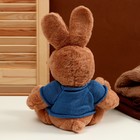 Мягкая игрушка «Зайка», в свитере, 25 см, цвет МИКС - Фото 3