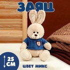 Мягкая игрушка "Заяц" в свитере, 25 см, цвет МИКС - фото 3284158
