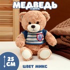 Мягкая игрушка "Медведь" в полосатой кофте, 25 см, цвет МИКС - фото 3284164