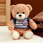 Мягкая игрушка «Медведь» в полосатой кофте, 25 см, цвет МИКС - Фото 2