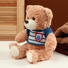 Мягкая игрушка «Медведь» в полосатой кофте, 25 см, цвет МИКС - Фото 3
