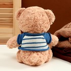 Мягкая игрушка «Медведь» в полосатой кофте, 25 см, цвет МИКС - Фото 4
