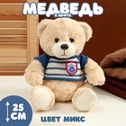 Мягкая игрушка "Медведь" в полосатой кофте, 25 см, цвет МИКС - фото 3284169