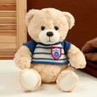 Мягкая игрушка «Медведь» в полосатой кофте, 25 см, цвет МИКС - Фото 2