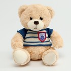 Мягкая игрушка «Медведь» в полосатой кофте, 25 см, цвет МИКС - Фото 6