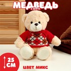 Мягкая игрушка "Медведь" в кофте с ромбиками, 25 см, цвет МИКС - фото 3284174