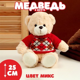 Мягкая игрушка «Медведь», в кофте с ромбиками, 25 см, цвет МИКС 9824332