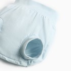 Трусы на подгузник для мальчика, цвет МИКС, рост 68 см - фото 23492417